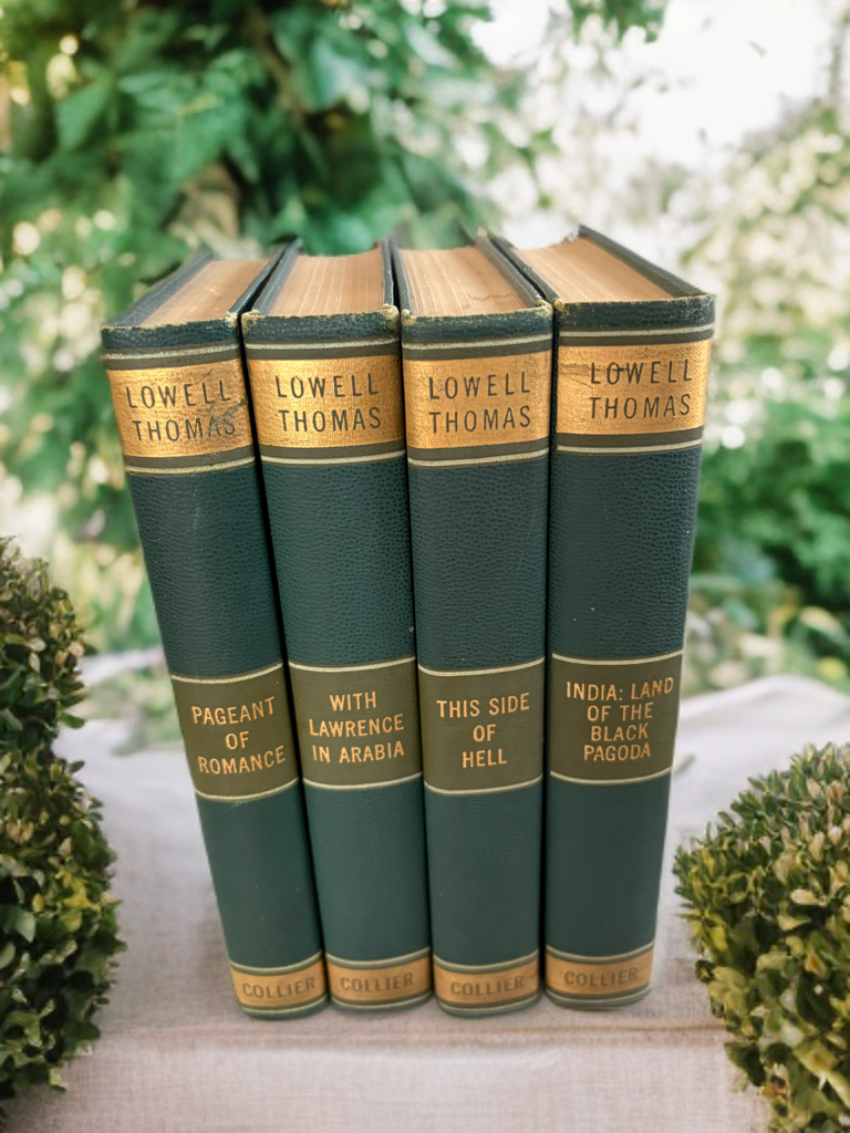 C2C74F43-7F83-440B-869B-C61183699492