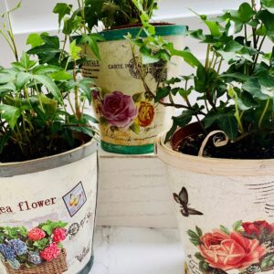 Three Shabby Chic Balsa Wood Planters; Patio and Garden Decor; Kitchen and Windowsill Decor